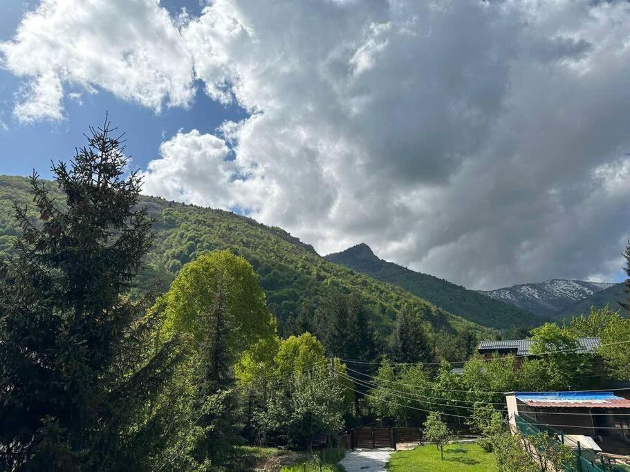 Cosy Mountain Villa In Nizepole Битола Экстерьер фото